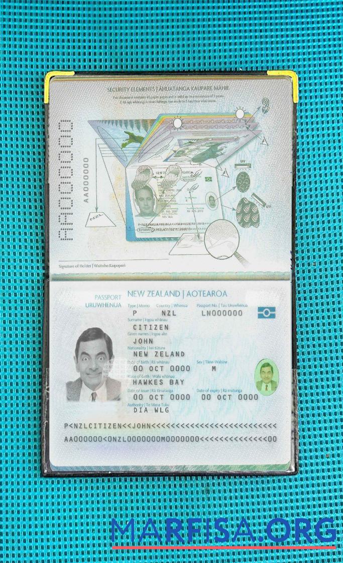 Downloadable New Zealand passport (2005 present) photo look example